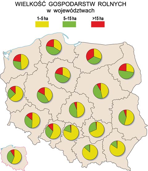 struktura wielkoci gospodarstw rolnych w polsce mapa